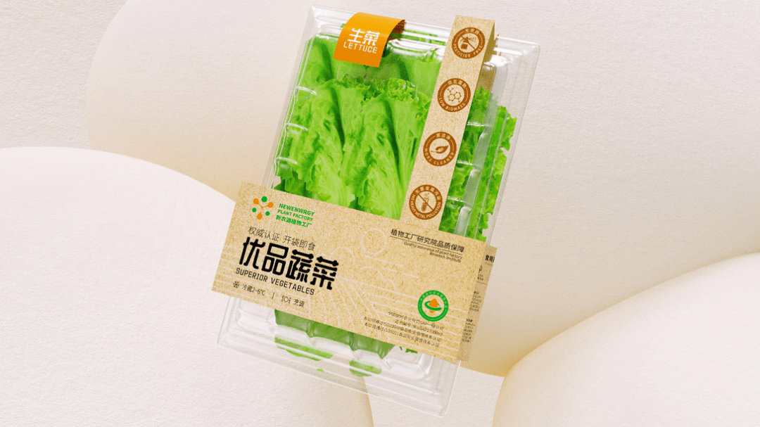 极具时尚感的蔬菜包装设计，学到了！